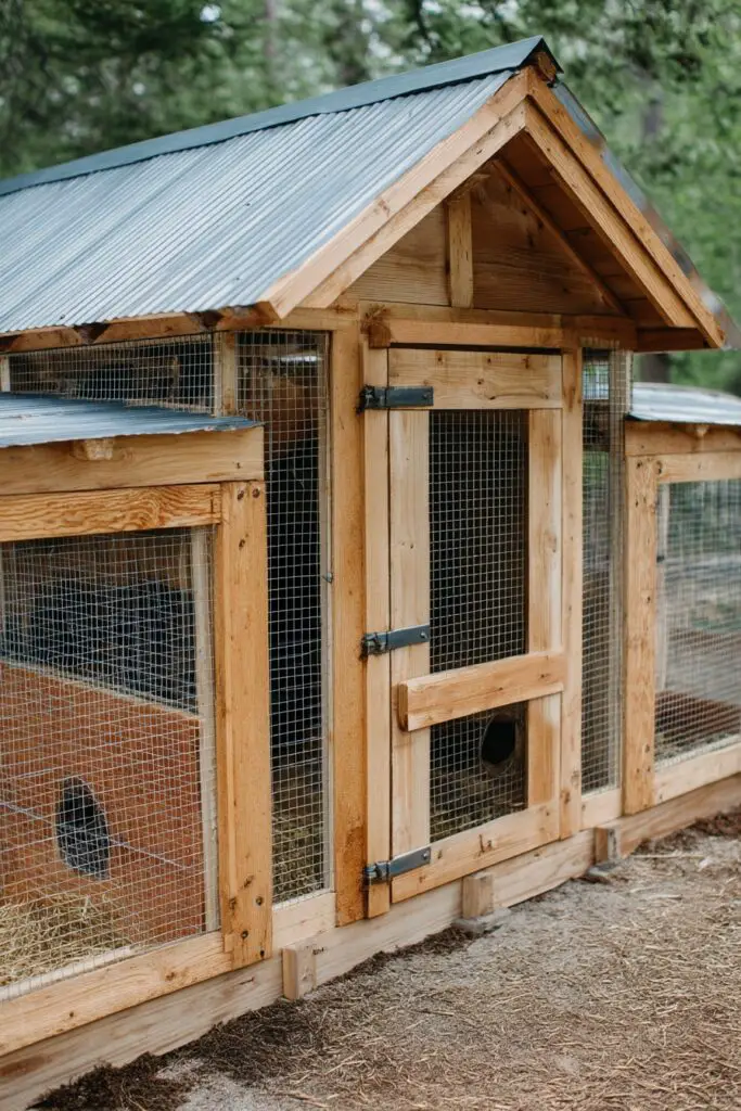 DIY Chicken Coop Ideas for Happy Hens 6 DIY Chicken Coop Ideas for Happy Hens