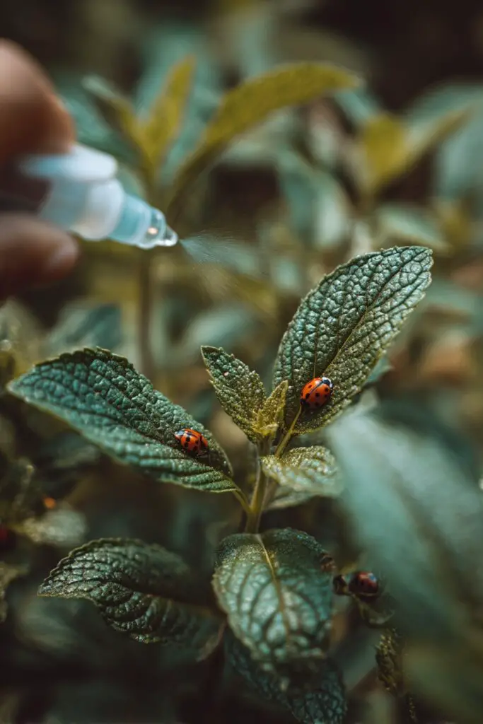 How to Start an Outdoor Herb Garden 10 How to Start an Outdoor Herb Garden