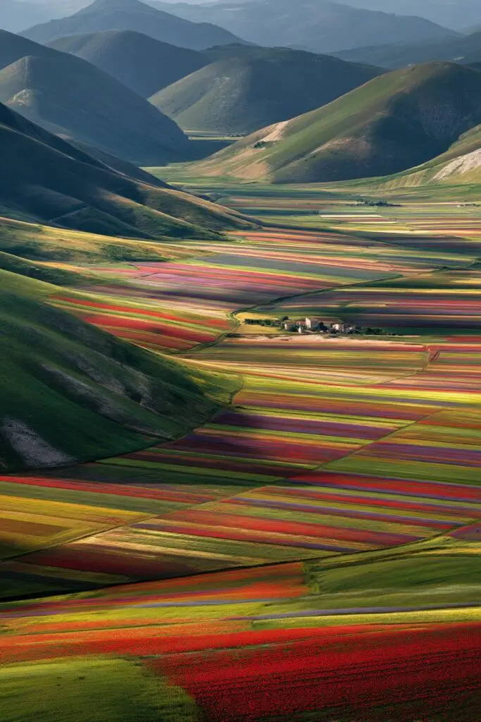 Iconic Flower Fields for Your Bucket List 10 Iconic Flower Fields for Your Bucket List
