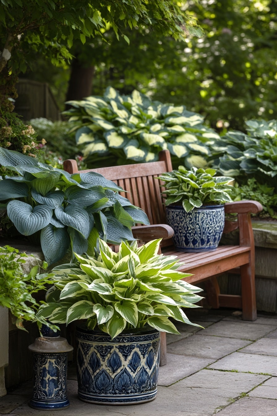 Hosta Garden Ideas for a Stunning Shade Space