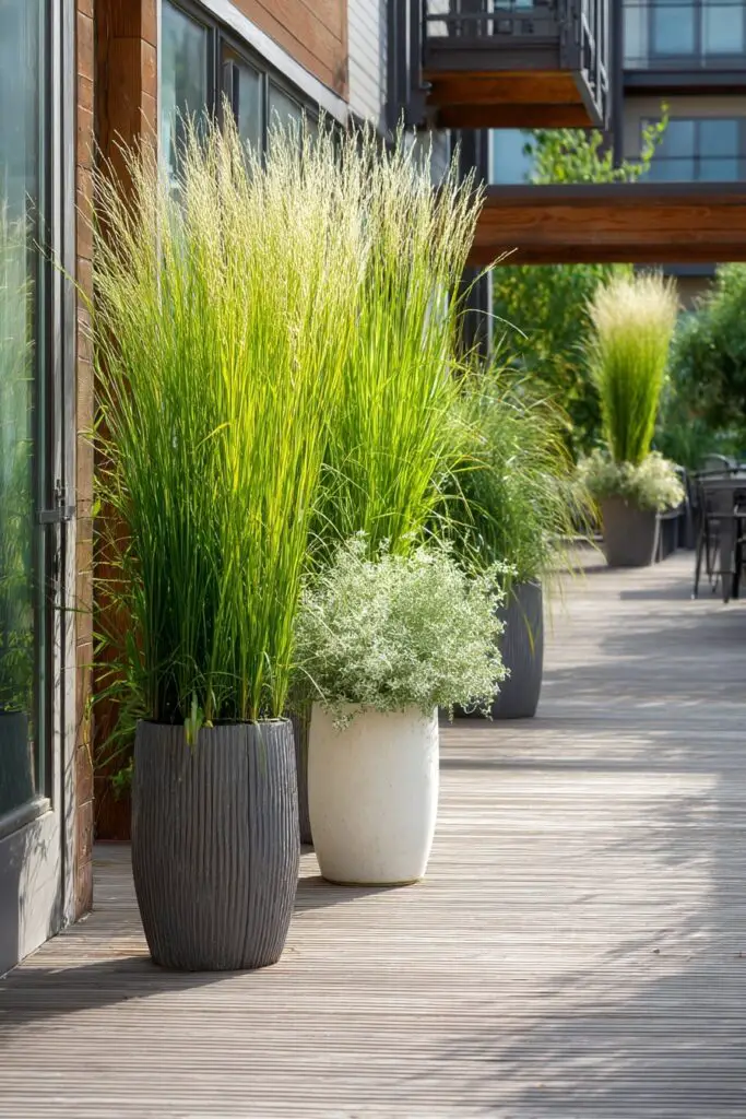 Low Maintenance Patio Plants for Easy Container Gardening 9 Low Maintenance Patio Plants for Easy Container Gardening