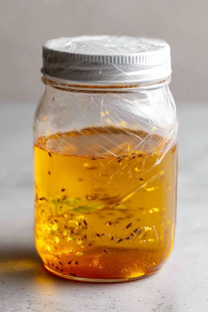 Fly Repellent DIY Outdoors: Keep Flies Away with Simple, Budget-Friendly Tips 2 Fly Repellent DIY Outdoors: Keep Flies Away with Simple, Budget-Friendly Tips