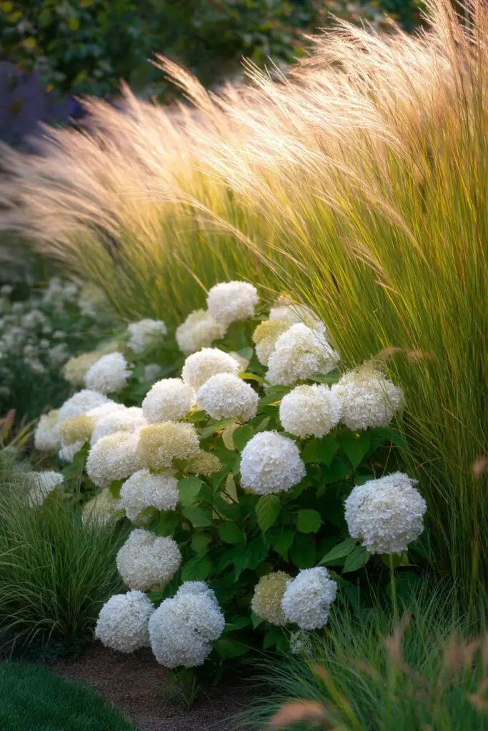 Hydrangea Landscaping Ideas for Stunning Gardens 9 Hydrangea Landscaping Ideas for Stunning Gardens