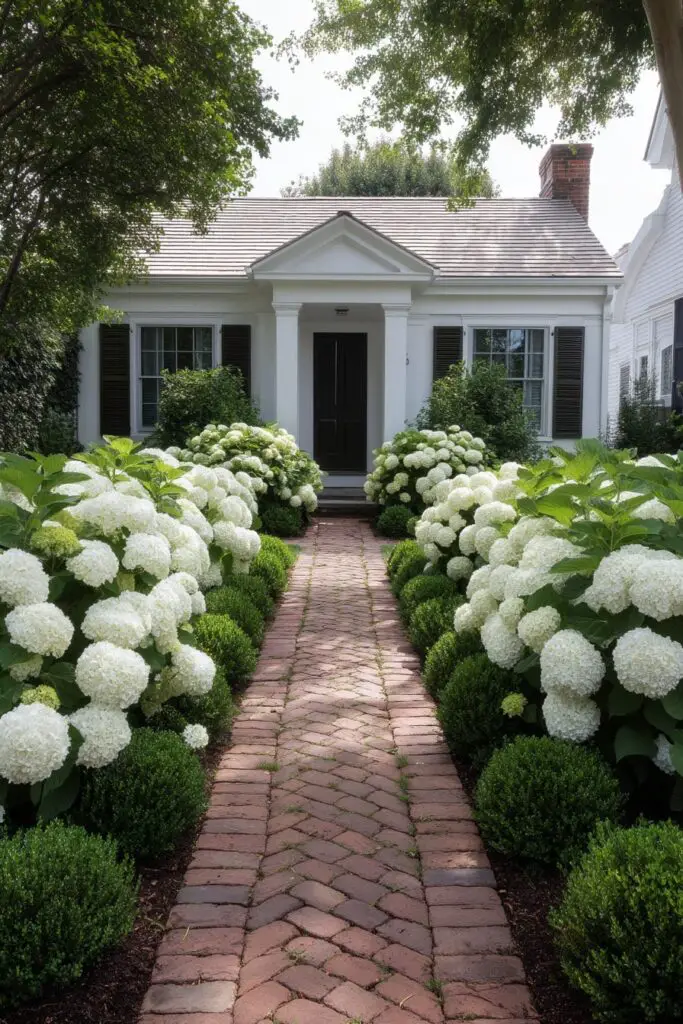 Hydrangea Landscaping Ideas for Stunning Gardens 4 Hydrangea Landscaping Ideas for Stunning Gardens