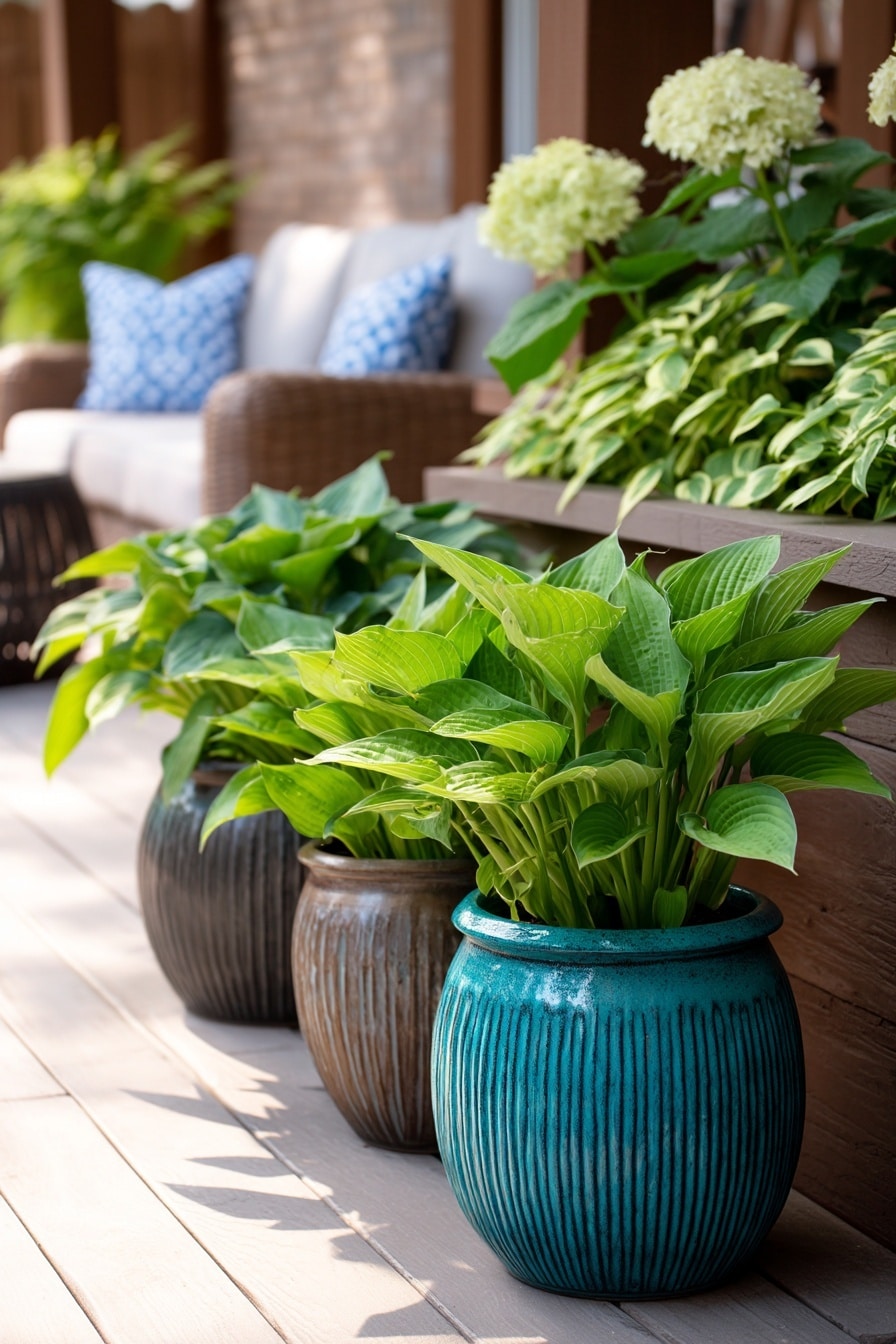 5 Ways to Design With Hostas